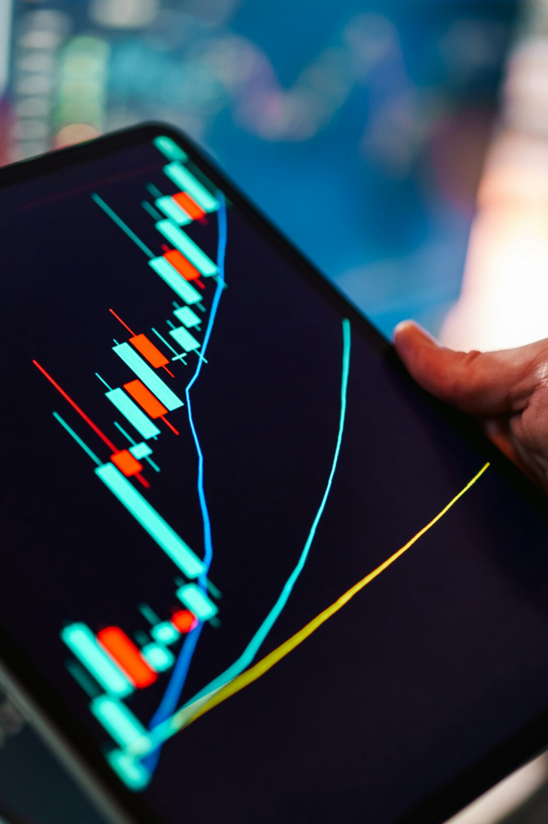 person reviewing investment options